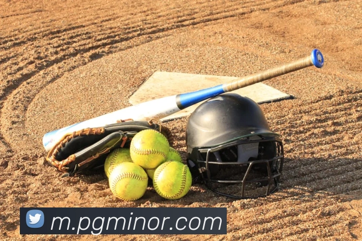 pg模拟器发展历程